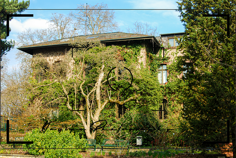 house at Frankfurt am Main Palmengarten with ivy and trees