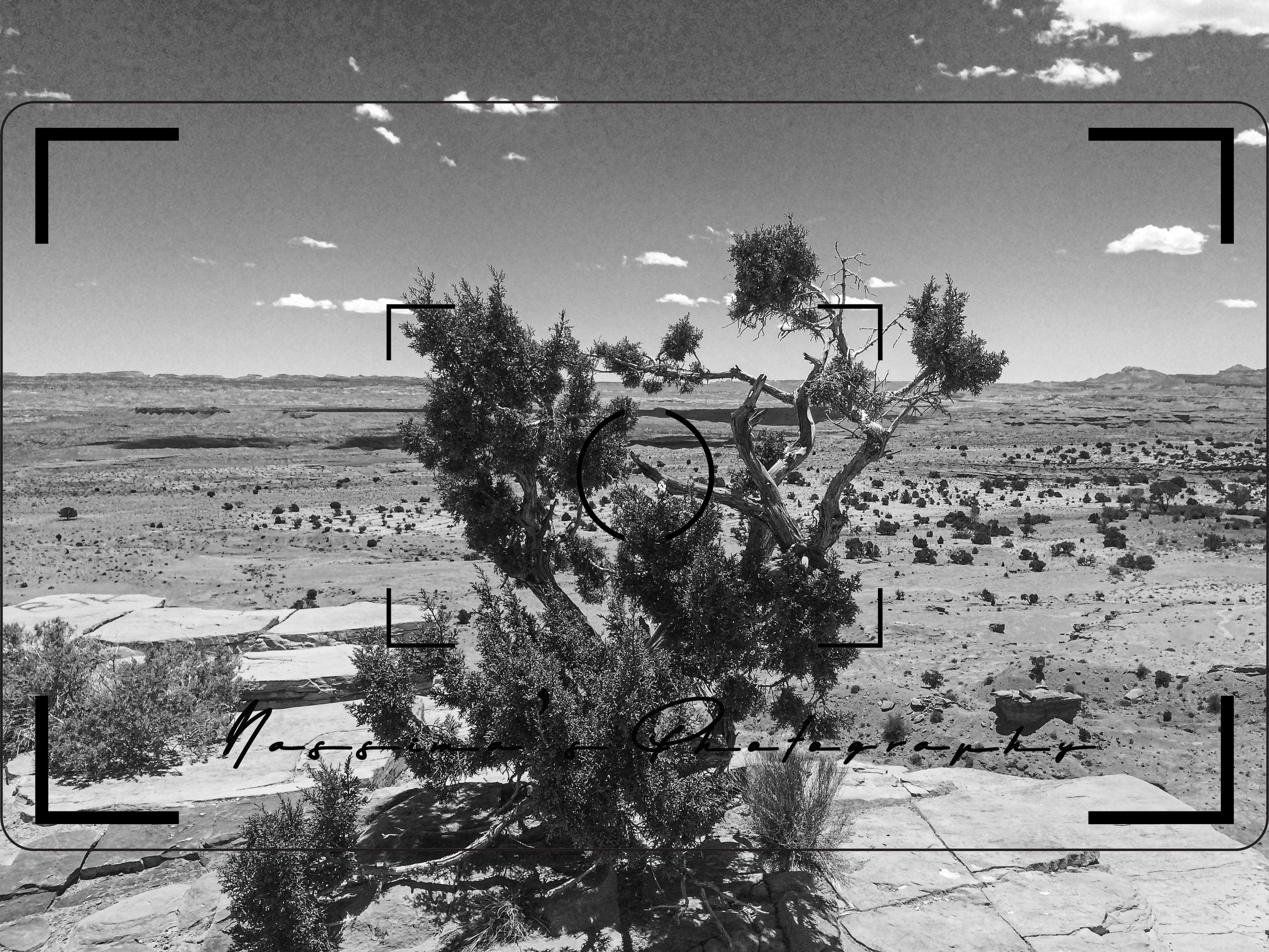 view from San Rafael Swell Top View Area at I70 in Utah