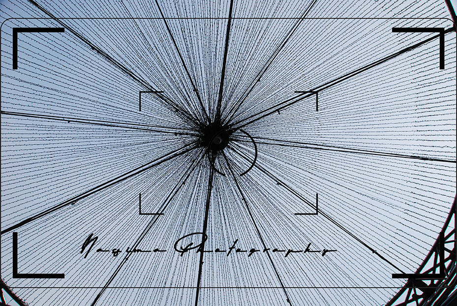 a wheel of lightstrings at E-Market in Seoul