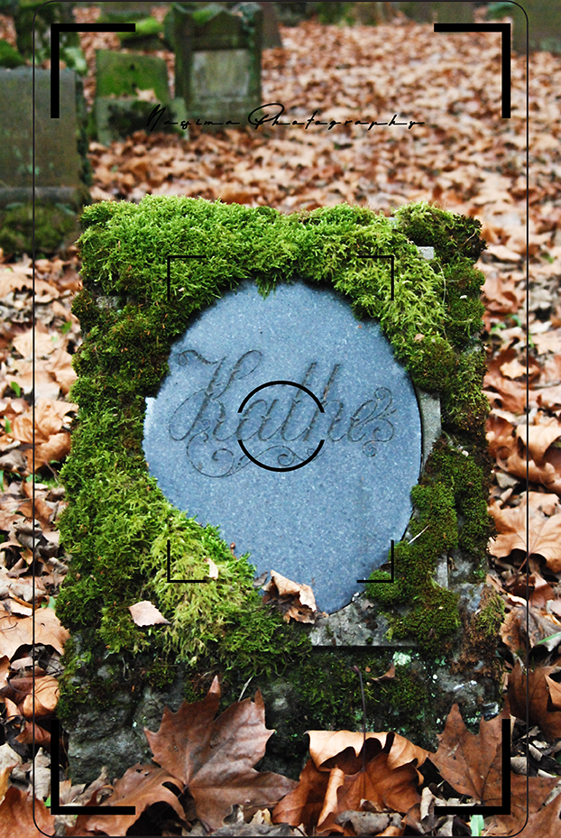 Stark mit Moos bewachsener Grabstein zwischen Herbstlaub auf dem Alten Jüdischen Friedhof in Frankfurt am Main.