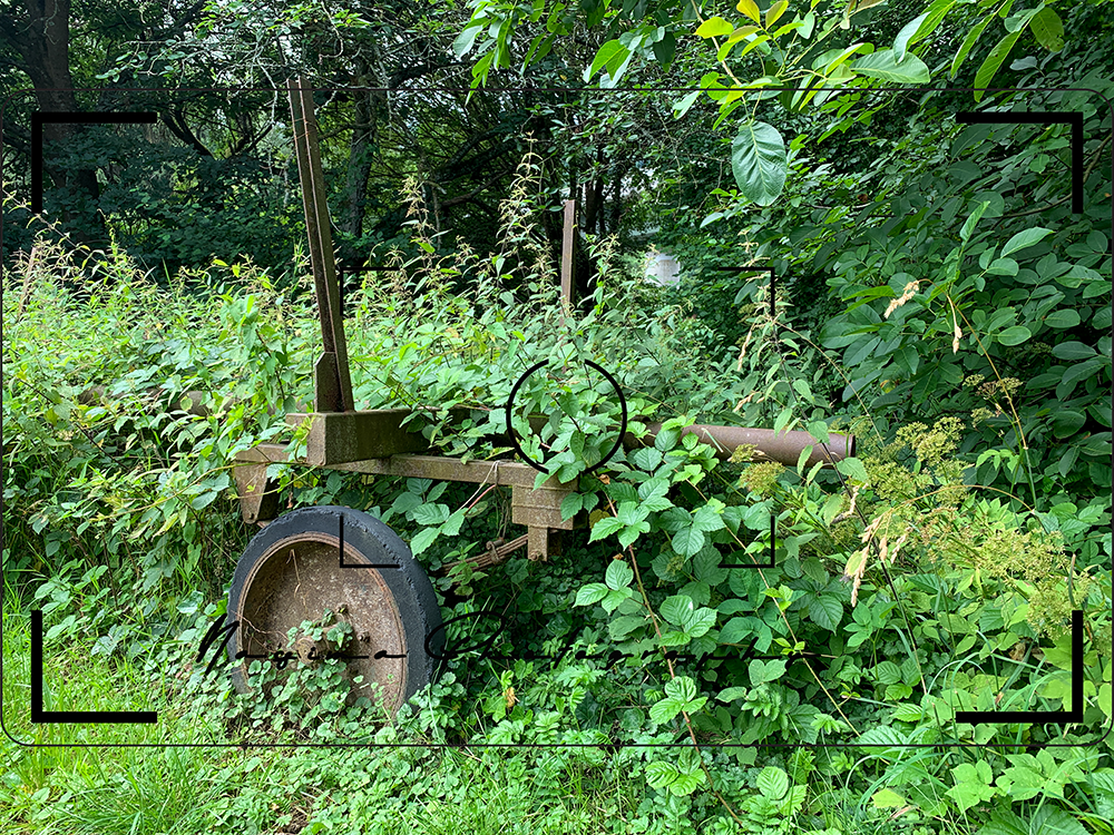 an old wagon covered with ivy at Fachbach